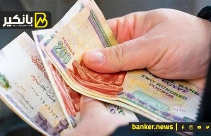 أستاذ استثمار: الدعم العيني يستنزف موارد الدولة