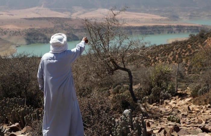 "نمو رهين بسخاء السماء" .. تفسيرات اقتصاديين للتطورات الفصلية بالمغرب