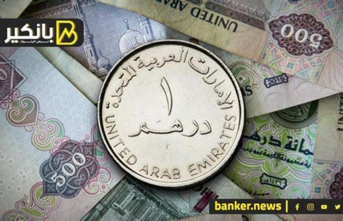 سعر الدرهم الإماراتي أمام الجنيه المصري في تعاملات اليوم الأربعاء 2-10-2024