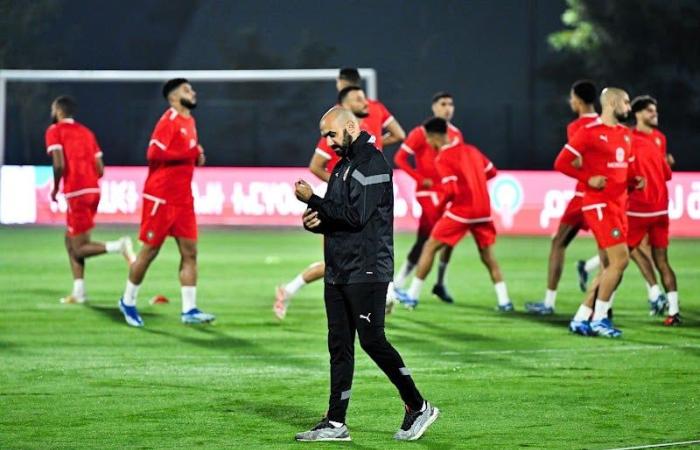 مومن: قائمة المنتخب المغربي منطقية