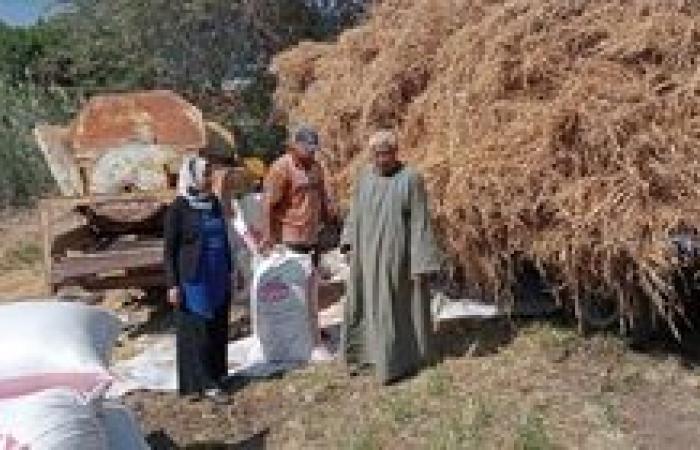 "الزراعة" جمع وتدوير ٨٤٨ ألف طن من قش الأرز في ٦ محافظات حتى الان والدقهلية في الصدارة