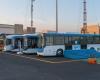 وظائف مشروع الأوتوبيس الترددي BRT.. الشروط والأوراق المطلوبة